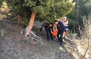 Artvin'de kayıp kişi ormanlık alanda ölü bulundu