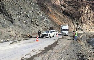 Artvin'de trafik kazası: 1 yaralı