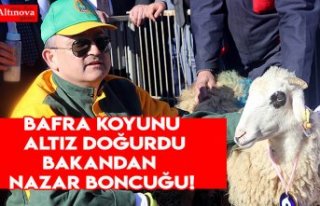 Bafra  koyununa nazar boncuğu
