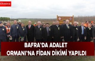 BAFRA`DA ADALET ORMANI`NA FİDAN DİKİMİ YAPILDI
