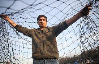 Batı Karadeniz'de balığın azalması tezgaha...