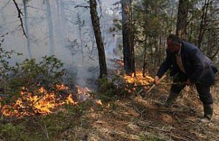 Bolu'da örtü yangını
