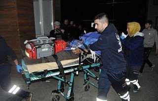 Dayısının oğlunu silahla öldürdü