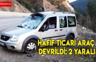 Hafif ticari araç devrildi: 2 yaralı