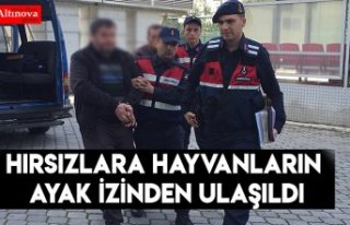 Hırsızlara hayvanların ayak izinden ulaşıldı