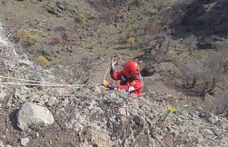 İtfaiyeden keçi kurtarma operasyonu