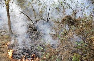 Karabük'te orman yangını