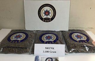 Ordu'da uyuşturucu operasyonu