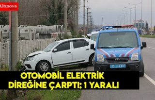Otomobil elektrik direğine çarptı: 1 yaralı