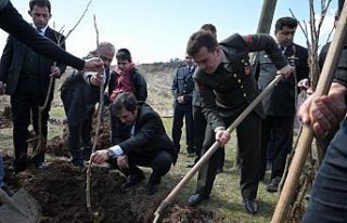Şebinkarahisar'da karadut üretimi geliştiriliyor
