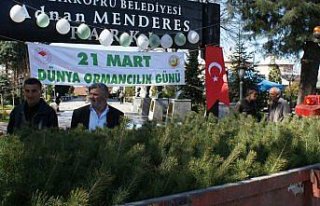 Vezirköprü'de vatandaşlara 10 bin fidan dağıtıldı