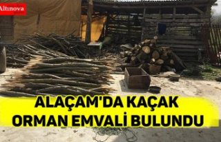 Alaçam'da kaçak orman emvali bulundu