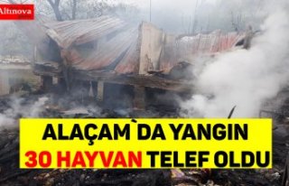 Alaçam`da yangın 30 hayvan telef oldu