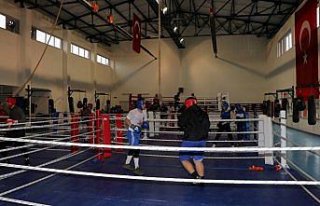 Boksta yıldız millilerin Kastamonu kampı başladı