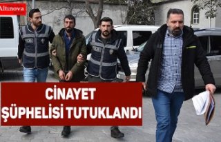 Cinayet şüphelisi tutuklandı