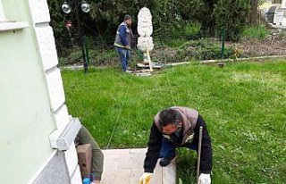 Düzce'den kısa kısa