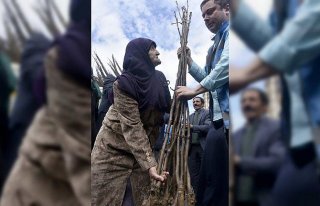 Gümüşhane'de ceviz üretimi artacak