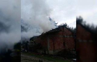 Kastamonu'da yıldırım isabet eden ahır yandı