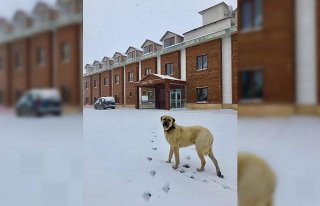 Ordu'da nisanda kar yağışı