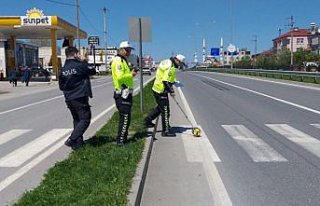 Otomobilin çarptığı kişi hayatını kaybetti