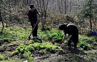 Özel gereksinimli öğrenciler meslek öğreniyor