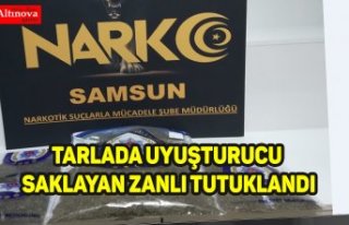 Samsun'da tarlada uyuşturucu saklayan zanlı...