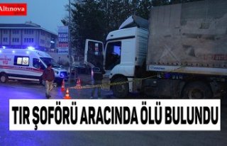 Tır şoförü aracında ölü bulundu