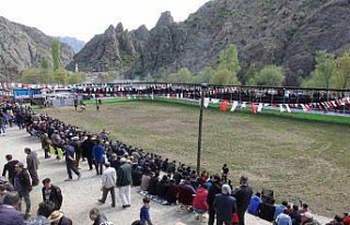 Yusufeli Geleneksel Derekapı Boğa Güreşleri Festivali