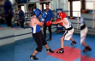 Boksörler, Türkiye Şampiyonası'na hazırlanıyor