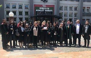 Diyarbakır'da kadın avukatın öldürülmesi