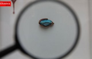 'İncir çekirdeğini dolduran adam' hünerlerini...