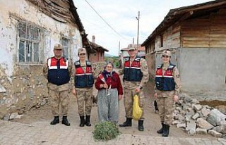 Jandarmadan annelere karanfilli kutlama