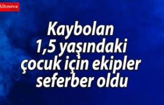 Kaybolan 1,5 yaşındaki çocuk için ekipler seferber...