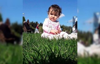 Kaybolan 1,5 yaşındaki çocuk için ekipler seferber...