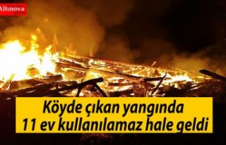 Köyde çıkan yangında 11 ev kullanılamaz hale...