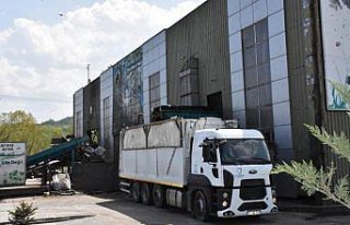 Ordu'da çöpte bebek cesedi bulundu