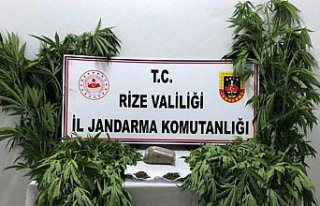 Rize'de Hint keneviri operasyonu