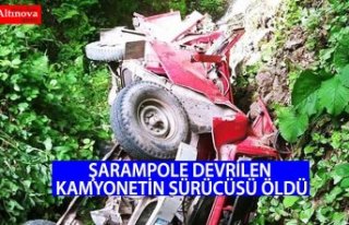 Şarampole devrilen kamyonetin sürücüsü öldü