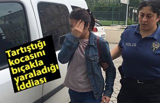 Tartıştığı kocasını bıçakla yaraladığı...