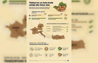 Türkiye'nin en fazla fındık sattığı ülke İtalya...