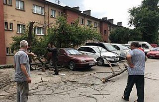 Zonguldak'ta kuvvetli rüzgar