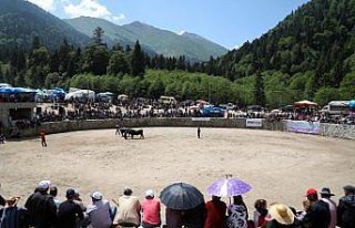 25. Çamlıhemşin Ayder Kültür, Sanat ve Doğa...
