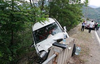 Artvin'de kamyonet bariyerlere çarptı: 1 ölü,...