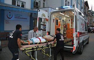 Giresun'da ayının saldırısına uğrayan çiftçi...