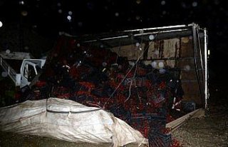 Kiraz yüklü kamyon kamyonetin üzerine devrildi:...