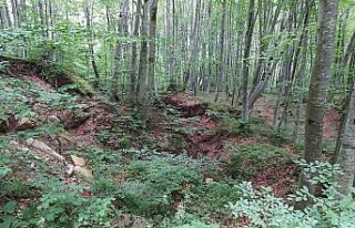 Ordu'da heyelan riski nedeniyle 69 hane boşaltıldı