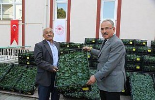 Ordu'da tarım ve hayvancılık destekleniyor