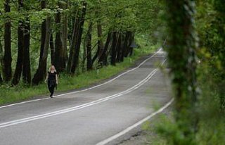 Safranbolu'nun ağaç tünelli yolları görenleri...