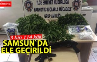 Samsun'da uyuşturucu operasyonu