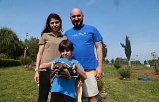 “Şanslı“ yapay kabukla hayata tutundu